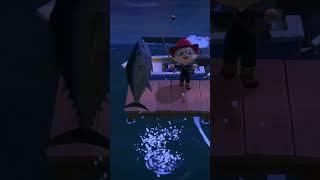 【あつ森】やったー！マグロが釣れたよー！【あつまれどうぶつの森】 #animalcrossing