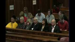 Oscar Pistorius Trial: Tuesday 1 July 2014, Session 1