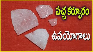 నరాలకు ఉత్తేజాన్ని కలిగించే పచ్చకర్పూరం -Home Remedies/ Herbal Chitka/S.Nagender