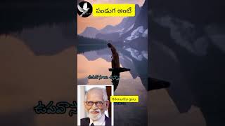 పండుగ అంటే//Festival means//rrkmurthy garu