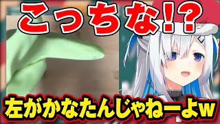 まな板の話にツッコまずにはいられないかなたんｗ【ホロライブ切り抜き/天音かなた】