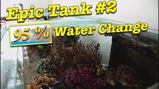 95% Water Change on EPIC tank #2 --- Gallery Aquatica TV