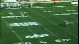 Henry Burris touchdown pass to Jermaine Copeland