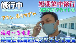 【3日で21フライト ③】これぞ修行!!3日で3万ポイント獲得を目指してANA国内線に乗りまくった結果 / 福岡→那覇→名古屋→新千歳→名古屋