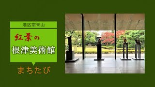 【根津美術館紅葉編】庭園の紅葉が美しい