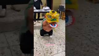 មុងសាយស្រវឹងទឹកដូង😂😂😂#funny