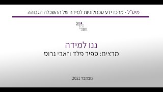 ננו למידה במרחב המודל