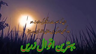 New aqwal e Zareen video/best Quotes IN Urdu/true words