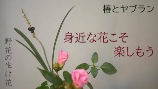 【生け花】もう春の準備は始まっています🌸【野花】野山や庭のお花を摘んで小さく飾る。お正月疲れを吹き飛ばそう✨