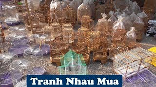 Thăm Quan Khu Bán Lồng Chim || Tranh Nhau Mua Vì 1 Chiếc Lồng// Chiến Ơi