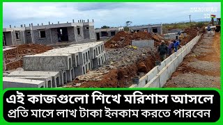 এই কাজগুলো শিখে মরিশাস আসলে প্রতি মাসে লাখ টাকা ইনকাম করতে পারবেন mauritius 🇲🇺