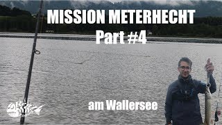 Der beste See bis jetzt? - Angeln am Wallersee - Mission Meterhecht - Part #4