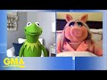 Kermit the Frog and Miss Piggy talk about their show ‘Muppets Now’ on Disney+ l GMA