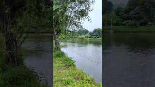 The summer of 2017 has already passed 7 years ago. Enjoy the nature, the small river in my homet