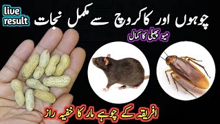 Get rid of rats, Mosquito, cockroach, lizard with homemade spray|powerful insects killer remedy🙄