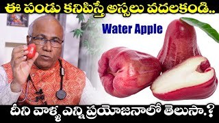 Nutritional Benefits Of Water Apple | Rose Apple Uses | Immunity Booster | Dr. CL Venkat Rao | TX TV