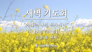 [시편 23:1-6/야훼는 나의 목자시니] 2021.04.16(금) 새벽/아침예배 (순)성북교회 김훈종 목사