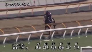 【競馬】安田記念2020 有力馬6頭追い切り