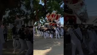 秋祭りでも暴れ担ぐ！！太平寺ふとん太鼓  #ふとん太鼓 #祭り #太鼓台 #地車