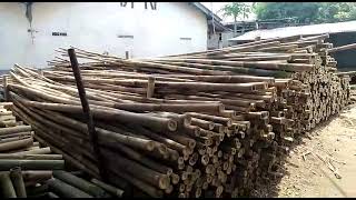 Jual Bambu PAling murah