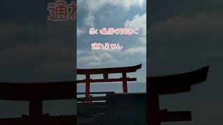 周防大島西方『厳島神社』を参拝💡こじんまり感がとても良いです#shorts