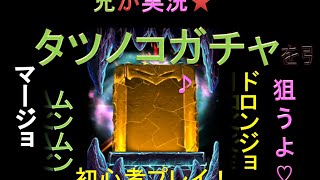 【ドラポ】タツノココラボガチャ☆ドロンジョ、ムンムン、マージョ狙っていくよ!!【コラボガチャ編】