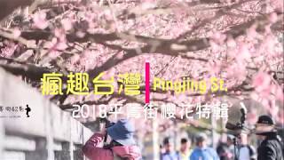 瘋趣台灣｜平菁街42巷303號公車直達｜粉紅櫻花巷｜台北最新賞櫻勝地｜賞櫻吃野菜