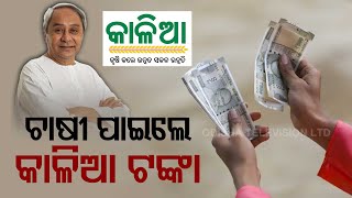 Odisha Govt Disburses KALIA Money To Farmers