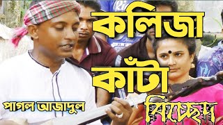 বিরহ বিচ্ছেদ । দাবানলে বন পোড়া যায় ।  পাগল আজাদুল । AS MULTIMEDIA BD