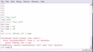 Python Programming Tutorial - 7 - More on Strings