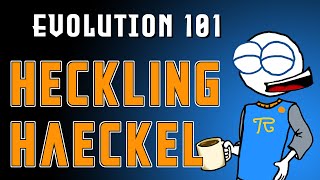 Evolution 101 Ep. 15: Heckling Haeckel and Developing to Death