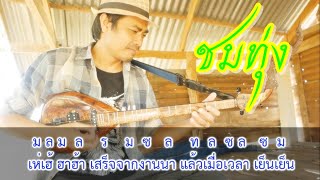 บรรเลงพิณพร้อมโน้ตเพลง - ชมทุ่ง / สายแนนสตูดิโอ