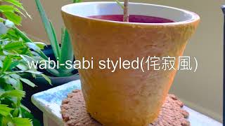 Flowerpot Makeover II～Audrey Ficus 高山榕花器大變身