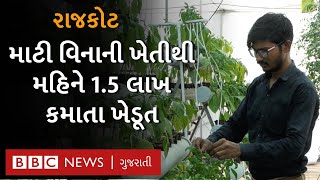 શિક્ષકની નોકરી છોડી બન્યા ખેડૂત, હાઇડ્રોફોનિકથી કરી ખેતી કમાય છે લાખો રૂપિયા : Gujarat farmer