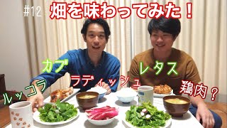 #12 畑のお野菜美味しく食べてみた‼️ ラディッシュ、小カブ、ルッコラ、レタスの収穫\u0026食レポ　【ソムリエが畑やってみたシリーズ】料理シーンはありません💦