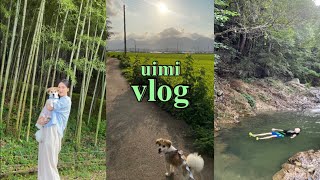 강아지랑 여행 VLOG | 담양의 여름이었다 브이로그 🎋🌲