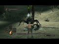 Can You Beat DARK SOULS 2 With Only Whips