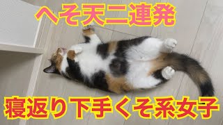 寝返りが下手なのかへそ天で止まっちゃう猫がかわいい！#shorts