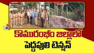 Tiger Search Operation At Komaram Bheem Dist | కొమురంభీం జిల్లాలో పెద్దపులి టెన్షన్ | 10TV News