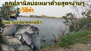 สูตรกุ้งหมักตกปลานิลง่ายๆ บ่อเหมาบึงสำราญแพรกษาซ.8 สมุทรปราการคันละ100ปลาออกฟรีๆ