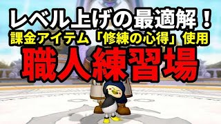 【ドラクエ10】職人練習場でレベル上げしてみた【Ver.5.１】