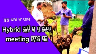 କେତେ ମାସ ରେ female ଛେଳି ଙ୍କୁ meeting କରେଇବା ଭଲ ।। rajstanti  goat ।। ରୁଦ୍ର ଭାଇଙ୍କ ଛେଳି ଚାଷ ପ୍ରଣାଳୀ।।