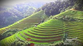 We Ride Vietnam Tour - Drone 4k video/ All about Mu Cang Chai terrace rice fields