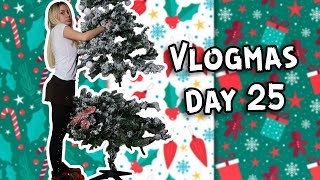 SKLANJAM JELKU I SLATKISI I VLOGMAS