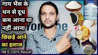 गाय भैंस के थन से दूध कम आना या नहीं आना||छिछड़े आने का इलाज||increase milk production||Dudh badaye