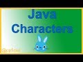Java Characters - The char Primitive Data Type by Example - Java Tutorial - Appficial