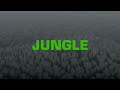 The Blaze x Endel - JUNGLE (Sleep Soundscape)