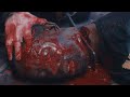 6 minutes of brutal movie gore (5)