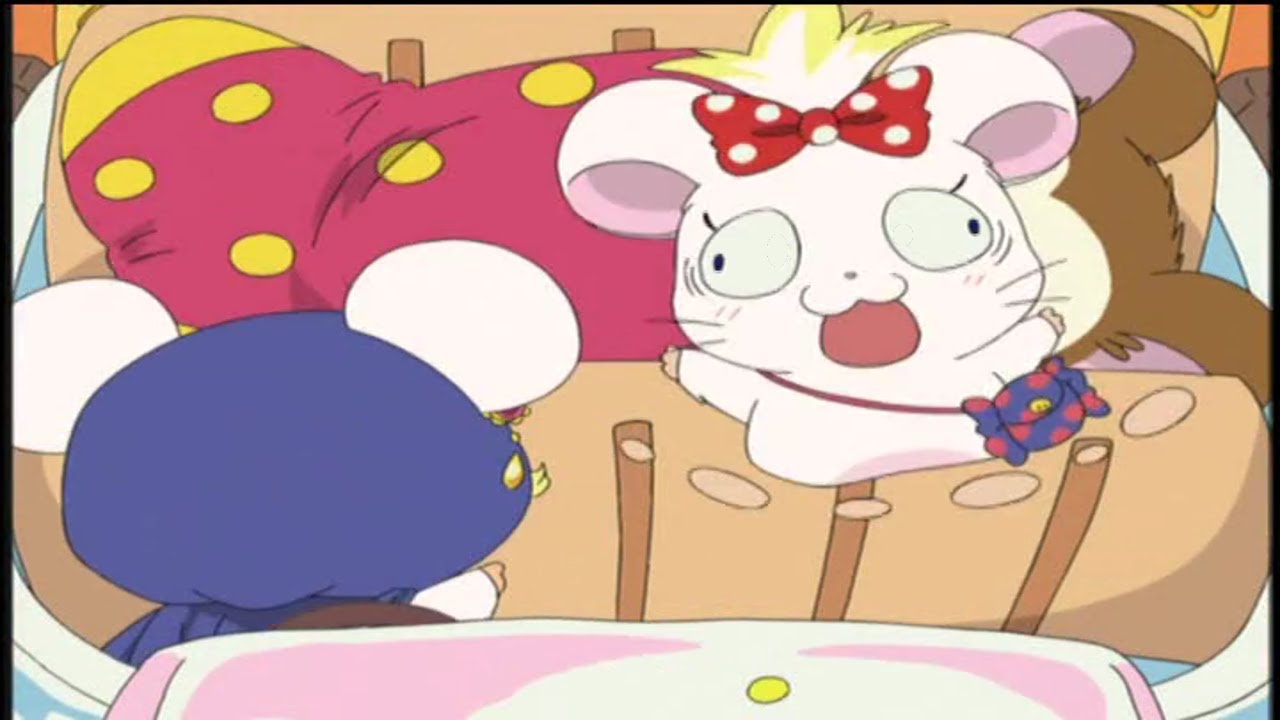 Ytp Ham Ham Hamtaro Youtube Ytp Ham Ham Hamtaro Youtube