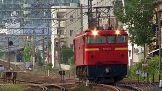 JR貨物 EF67 1号機(元EF60 104号機) 単機回送 向洋→天神川 2013.5